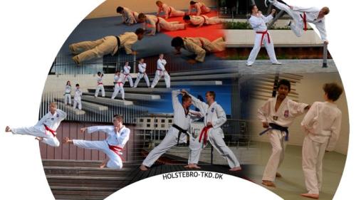 Sommerferietræning i Taekwondo Klubben